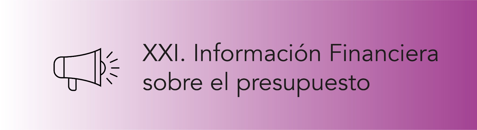 Imagen que permite conocer la Información Financiera sobre el presupuesto