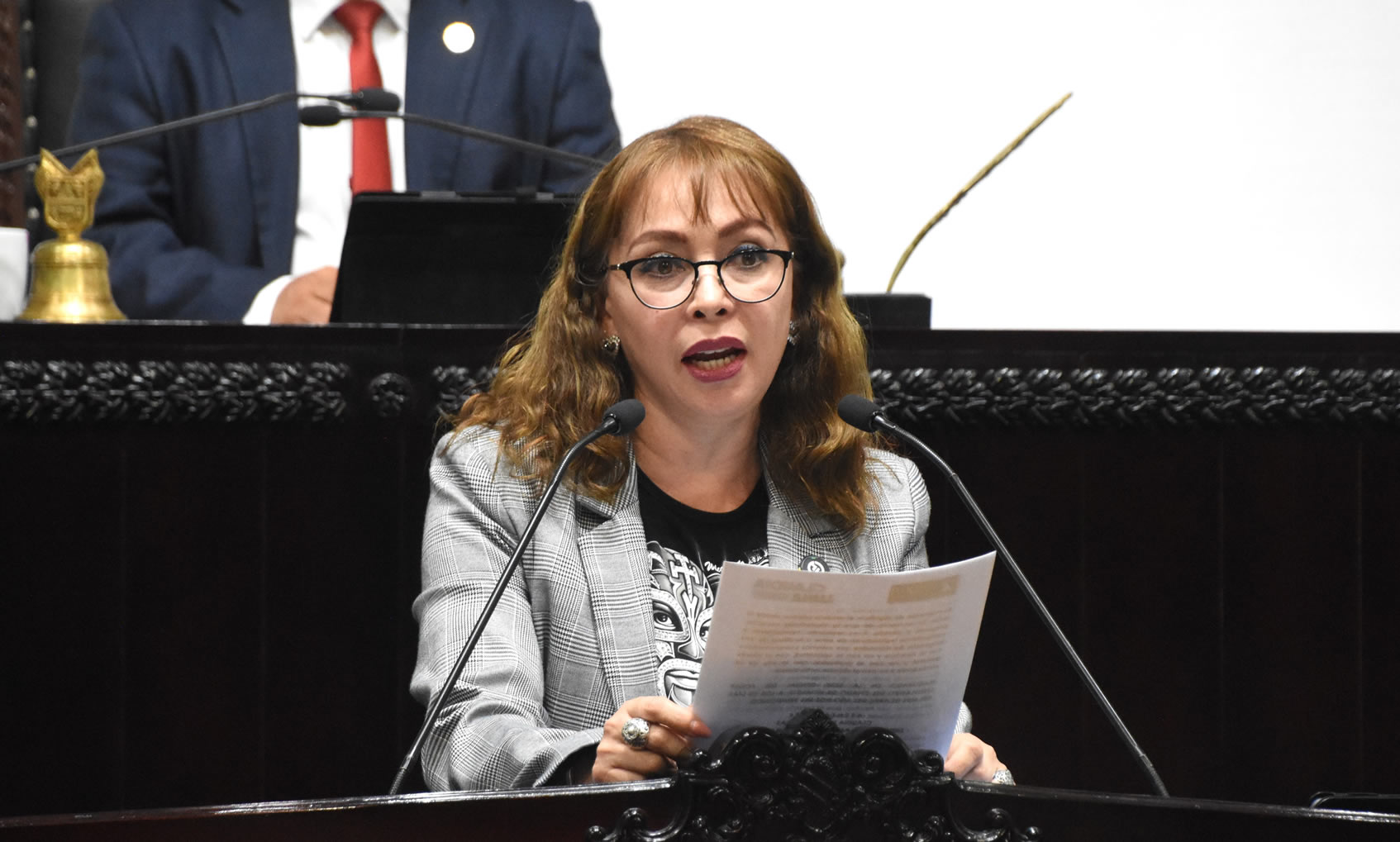 imagen que te permite ver a los Diputados en Sesión